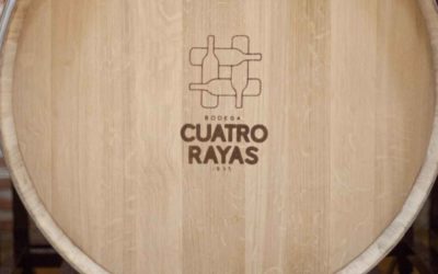 Cooperativas vitivinícolas del mundo tendrán su PreForo en Valladolid